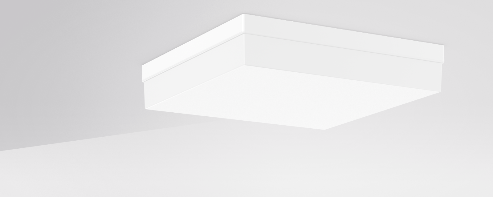 FLAT QUADRAT