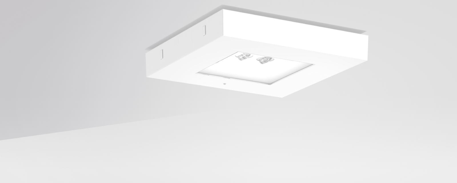 CENTRYXX IP65